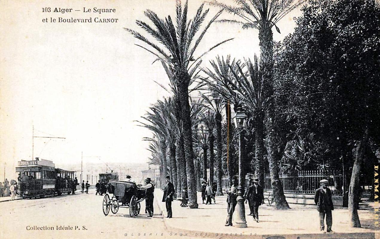 2889- Alger - Square et Boulevard Carnot.jpg